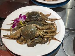 -钱小主·自助回旋烤肉火锅餐厅(东方新天地店)