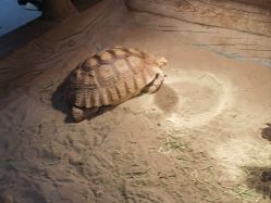 -Zoolung Zoolung动物主题公园(海信广场店)