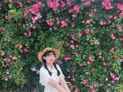 -金银湖国家城市湿地公园