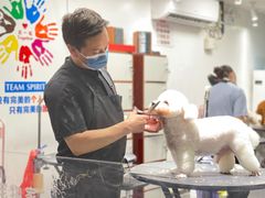 -宠物家(双井店)