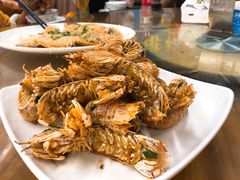 椒盐濑尿虾-明记海鲜大排档(巽寮湾店)