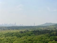 -灵谷景区