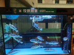 -肆月河豚·淮扬菜·湘菜(华天店)
