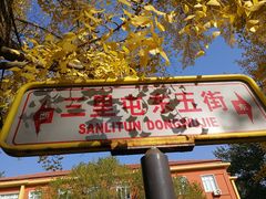 -三里屯东五街银杏大道