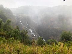 -热带雨林自然公园