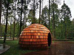 -黄海国家森林公园