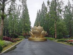 -东平国家森林公园