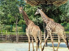 -水上乐园·欢乐世界