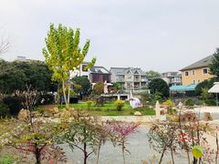 -龙坞茶村