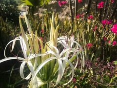 -惠州金海湾嘉华度假酒店