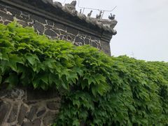 -蓬莱阁景区
