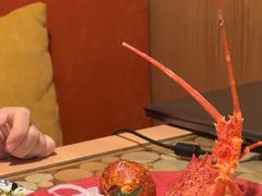 -西村日本料理(香格里拉饭店)