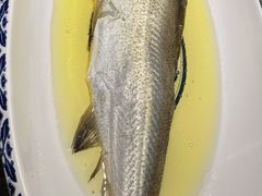 清蒸白鱼-南京大牌档(济南万象城店)