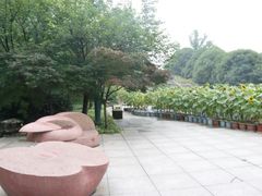 -南山植物园