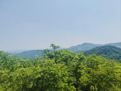 -牛首山文化旅游区