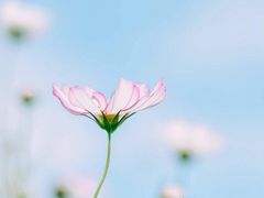 -中央广播电视总台(光华路办公区)