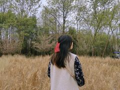 -桤木河湿地公园