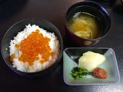 -蟹料理 北海道かに将軍(札幌本店)