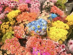 -循礼门鲜花花市(武汉循礼门店)