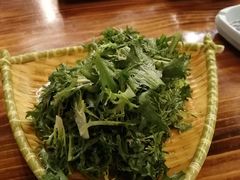 拌苦菊-阿里烧烤(北京东路店)