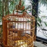 在〖竹下〗陶冶情操的川菜馆