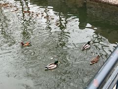 -北京动物园