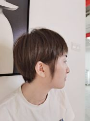 -蚂蚁造型俱乐部