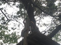 -芦仙山景区-飞越丛林探险乐园