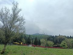 -武陵山森林公园