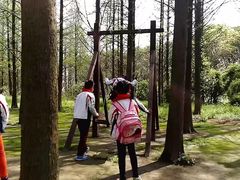 -同里国家湿地公园