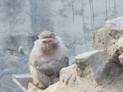 -太子山公园(园东路)