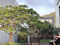 -三亚太阳湾柏悦酒店