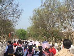 -武汉紫薇都市田园