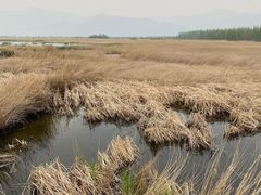 -野鸭湖国家湿地公园