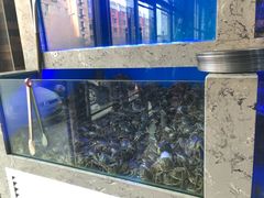 -一号码头蒸汽海鲜自助