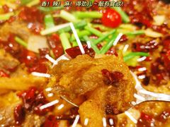-老板恋上鱼(高新万达店)