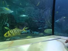 -洛阳龙门海洋馆