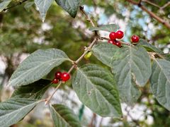 -中关村生命科学园