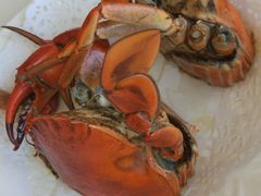 -鑫悦楼煎蟹·16年海鲜大排档