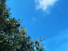 -大伊山景区