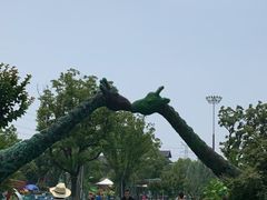 -苏州乐园森林水世界