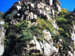 -大岭沟猕猴桃谷风景区