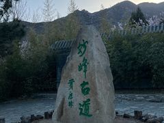 -阳台山自然风景区