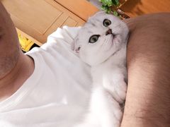 -纳吉亚猫专科动物医院·北北分院