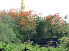 -西双版纳勐泐文化旅游区