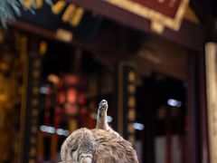 -龙华寺