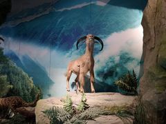 -重庆中国三峡博物馆(重庆博物馆)