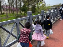 -上海长兴岛郊野公园