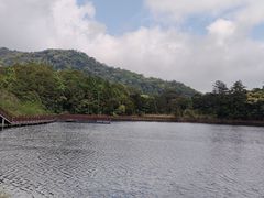 -海南热带雨林国家公园吊罗山景区