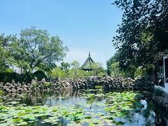 -无锡蠡湖国家湿地公园-蠡园